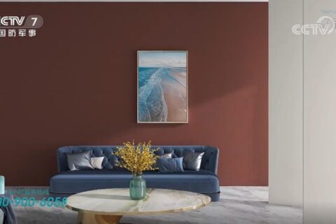 木蘭清沸石壁材央視廣告投放案例